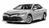 Решітка переднього бампера комплектація LE сіра EU Toyota Camry 2018-2020 (53102-06100), аналог